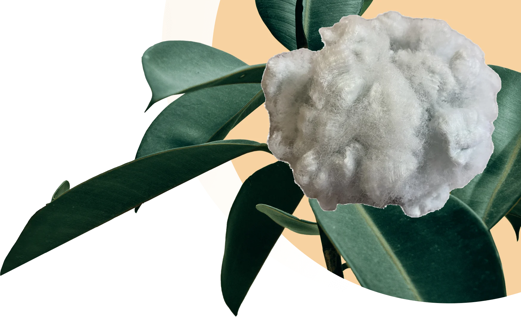 Solid fiber of Vinafiber